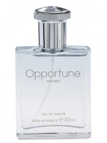 Amway Opportune EDT 50 ml Erkek Parfümü kullananlar yorumlar